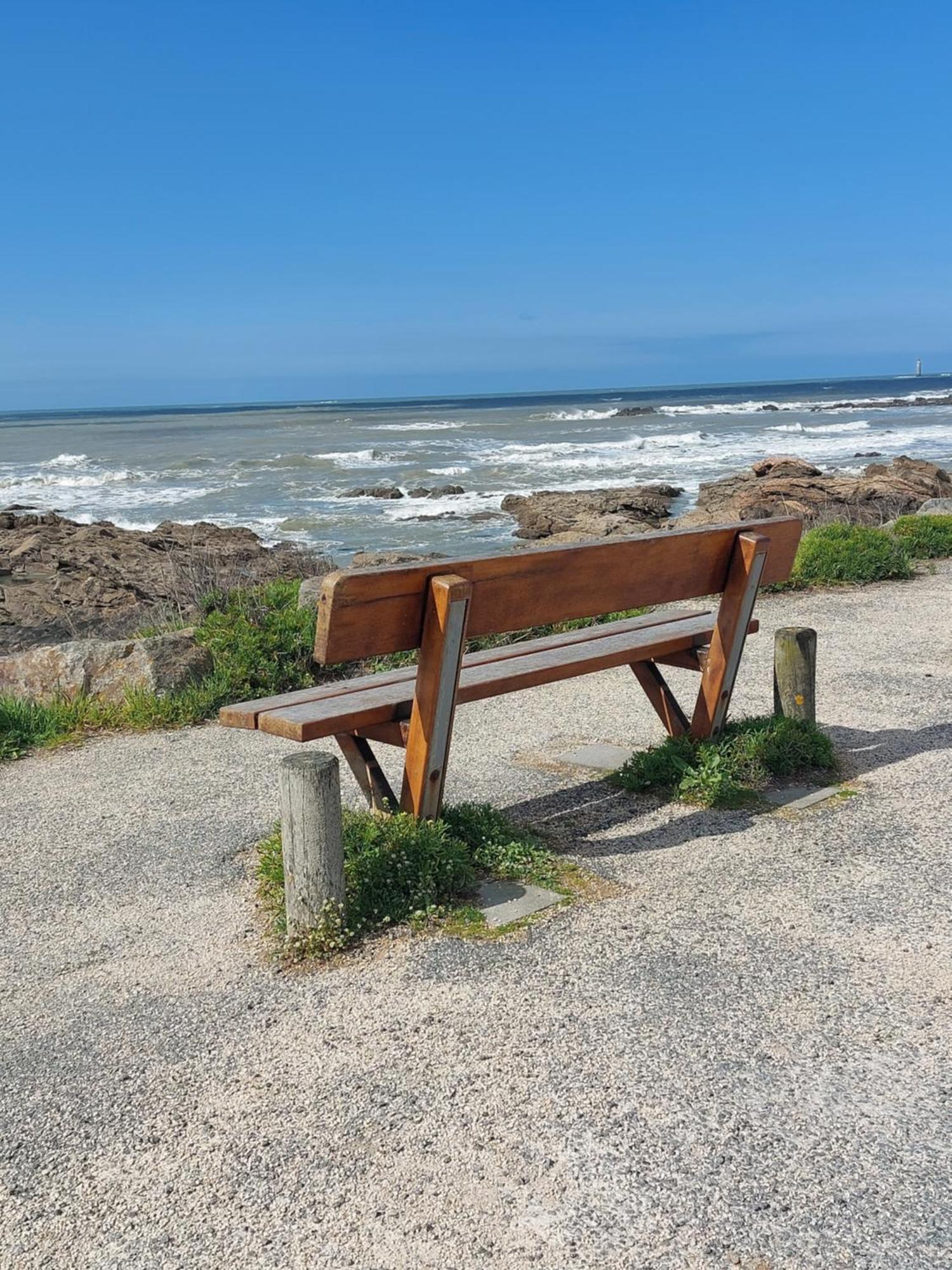 Les Sables-dʼOlonne Studio La Salicorne Au Sables D'Olonne מראה חיצוני תמונה
